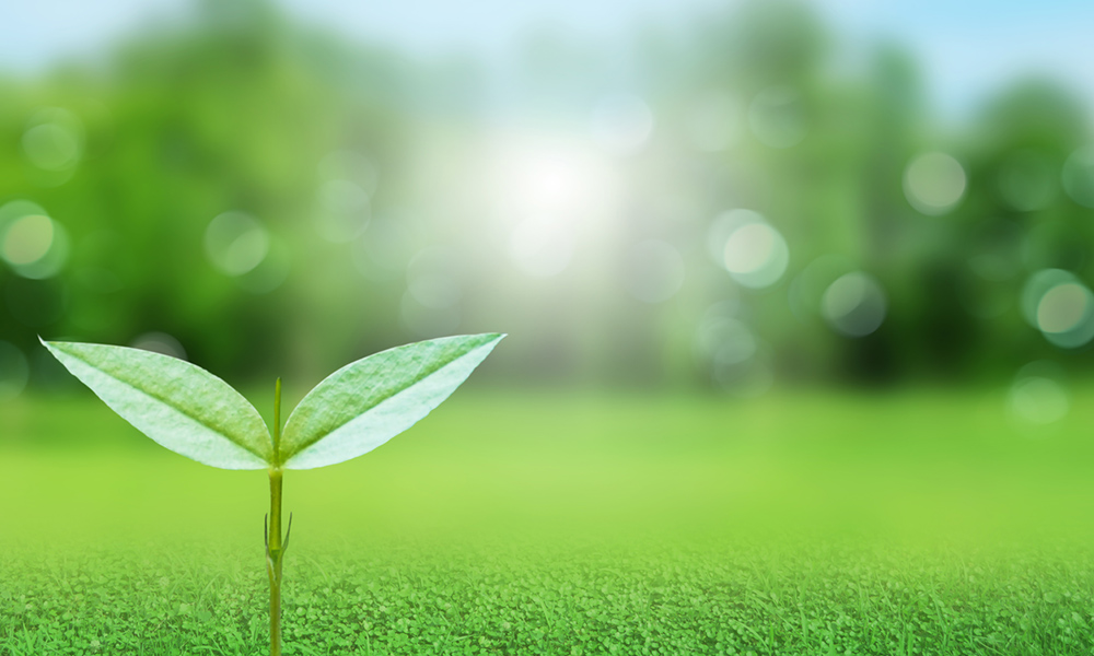 有限会社オリエ商会